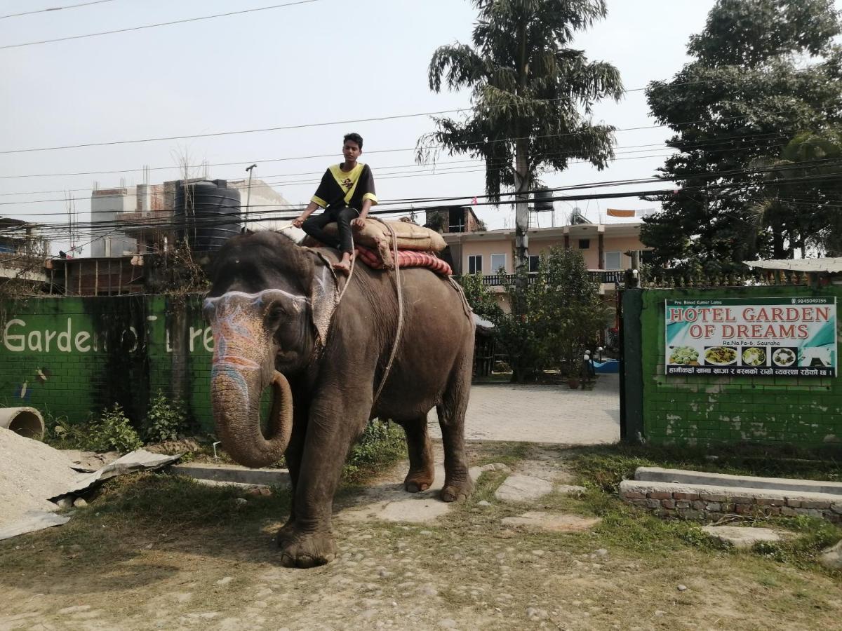 Hotel Garden Of Dreams Sauraha Εξωτερικό φωτογραφία