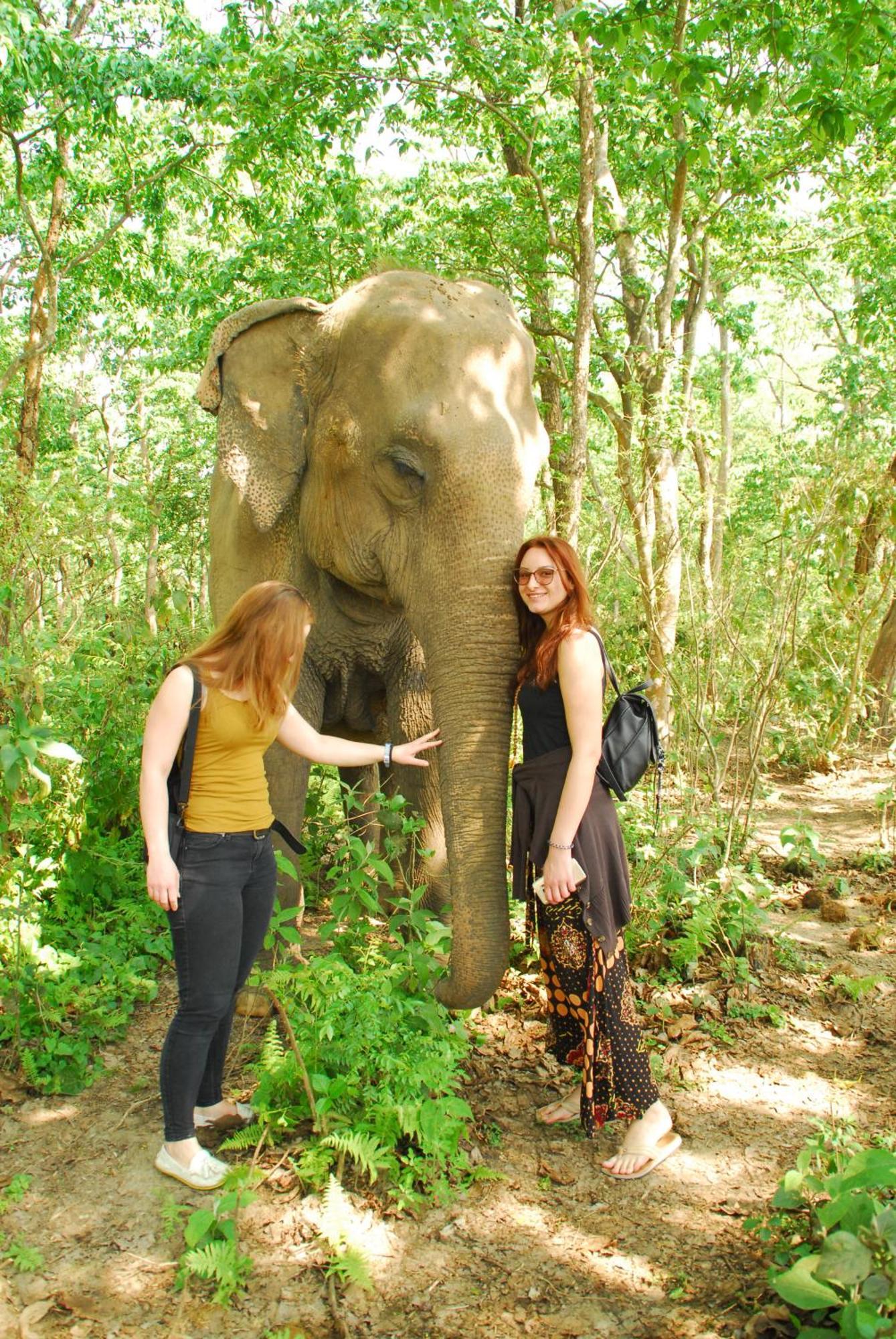 Hotel Garden Of Dreams Sauraha Εξωτερικό φωτογραφία