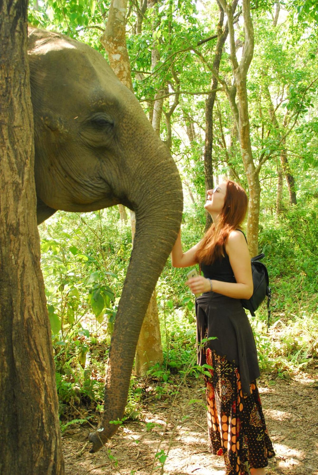 Hotel Garden Of Dreams Sauraha Εξωτερικό φωτογραφία