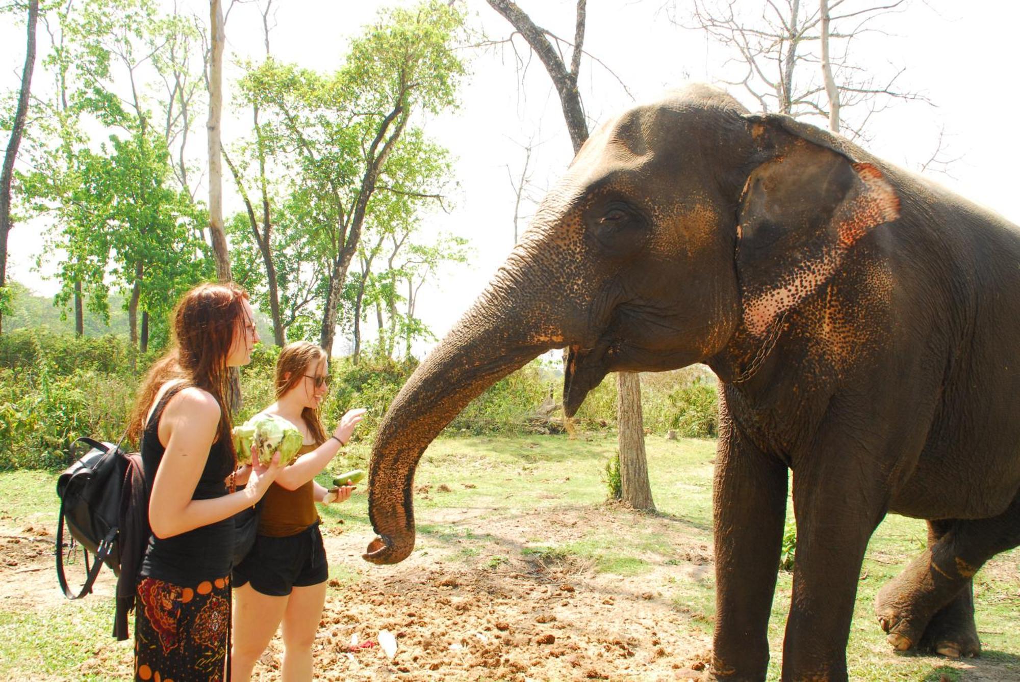 Hotel Garden Of Dreams Sauraha Εξωτερικό φωτογραφία