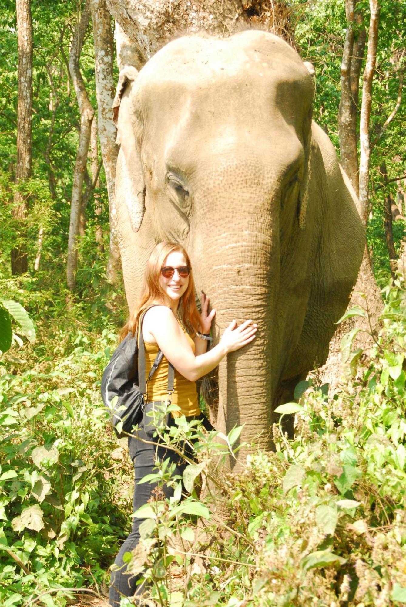 Hotel Garden Of Dreams Sauraha Εξωτερικό φωτογραφία