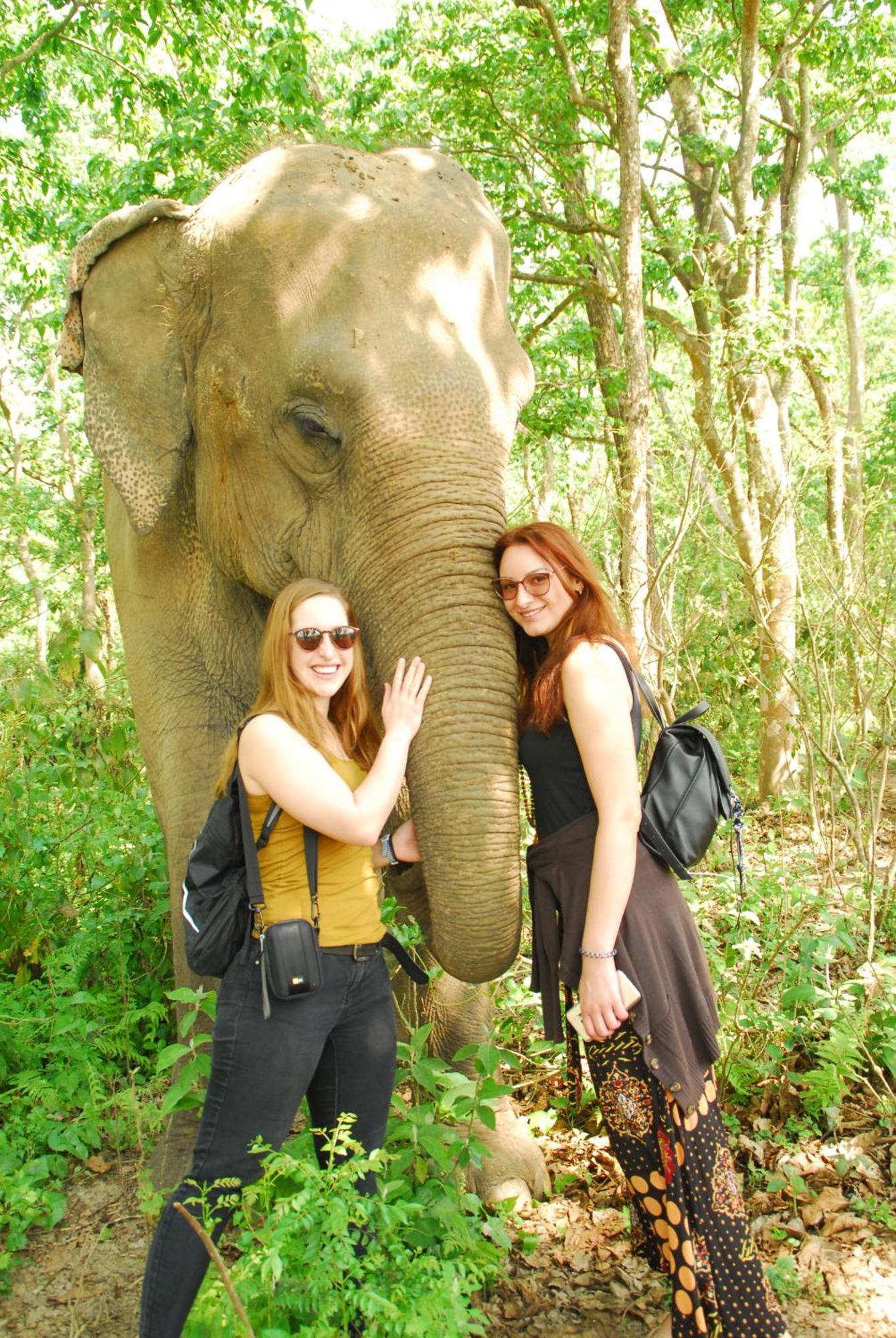 Hotel Garden Of Dreams Sauraha Εξωτερικό φωτογραφία