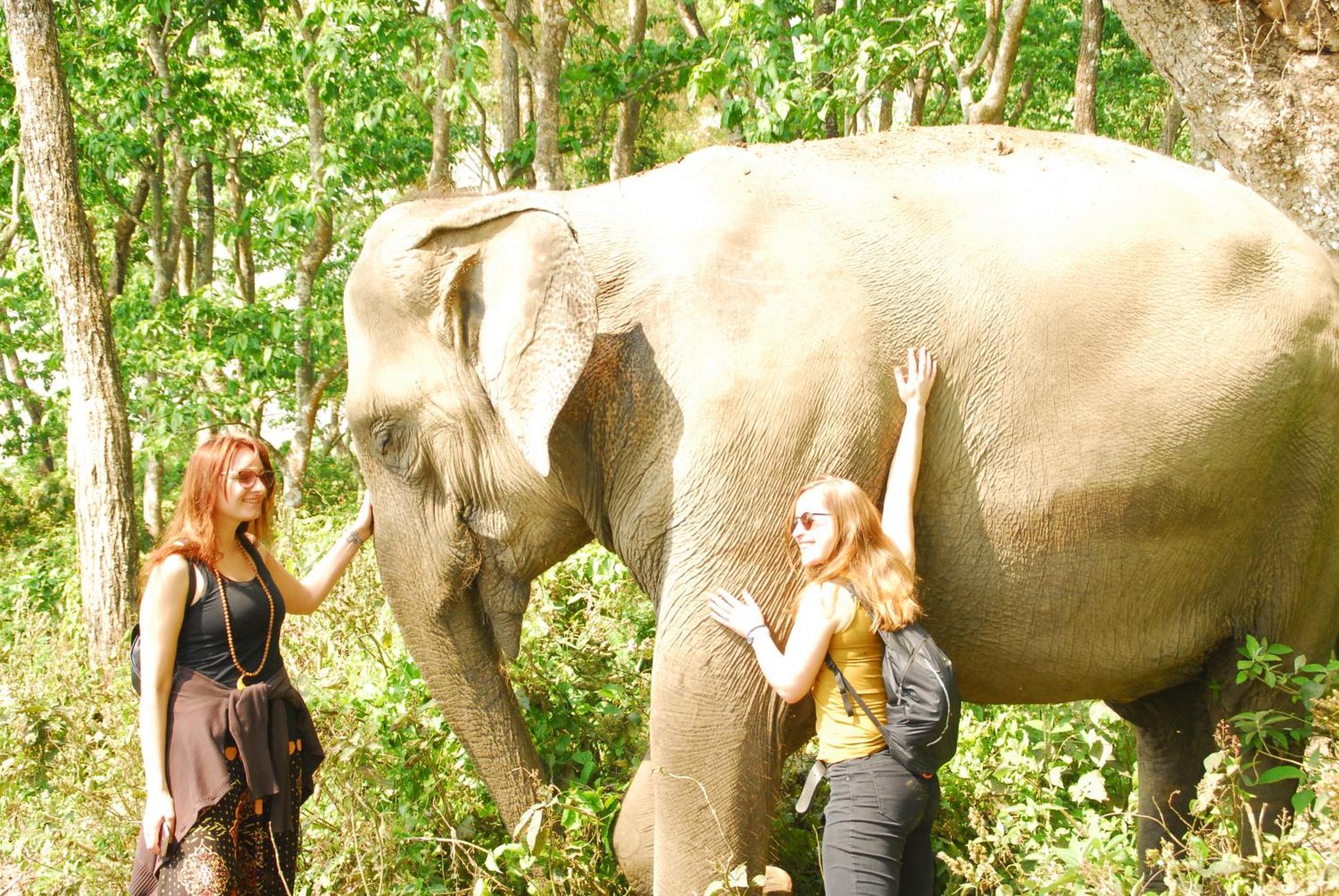 Hotel Garden Of Dreams Sauraha Εξωτερικό φωτογραφία